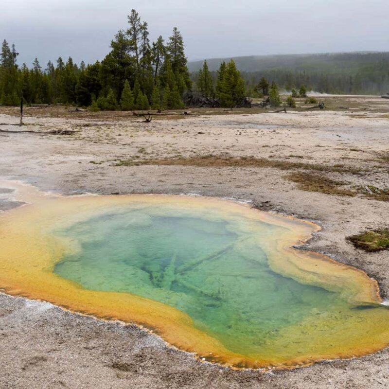 Crucial chemical for life can form in conditions found on early Earth