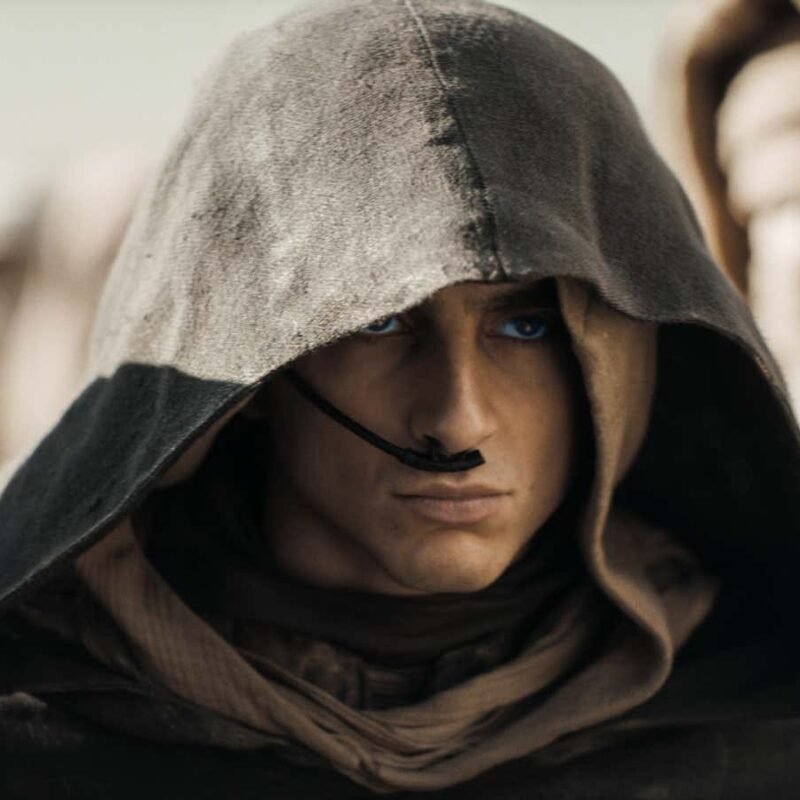 Dune Part Two review: Thrills sure, but not weird enough to be good