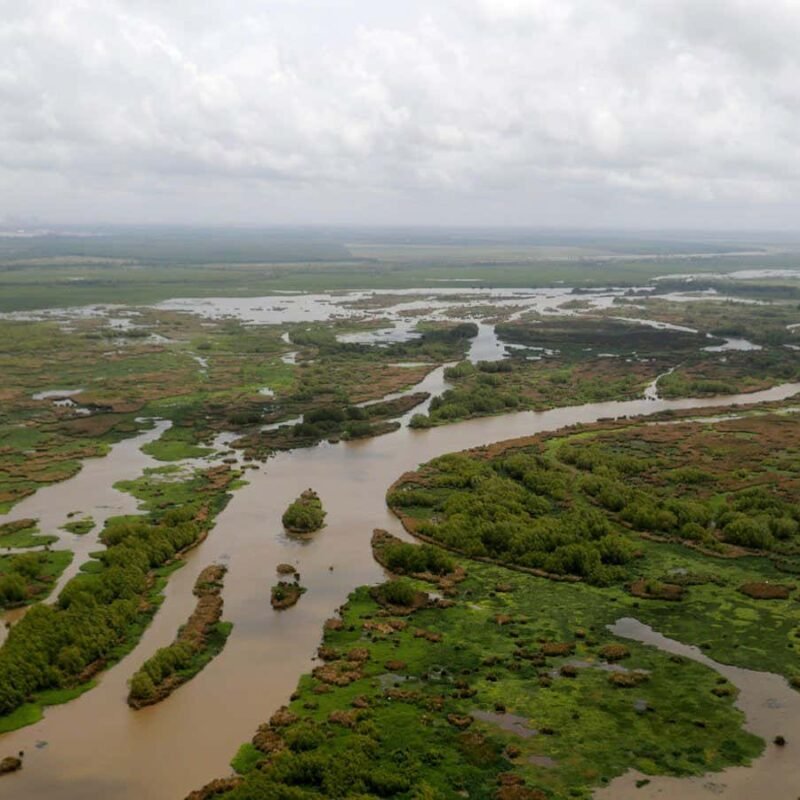 Engineers are diverting Mississippi river to restore Louisiana’s coast