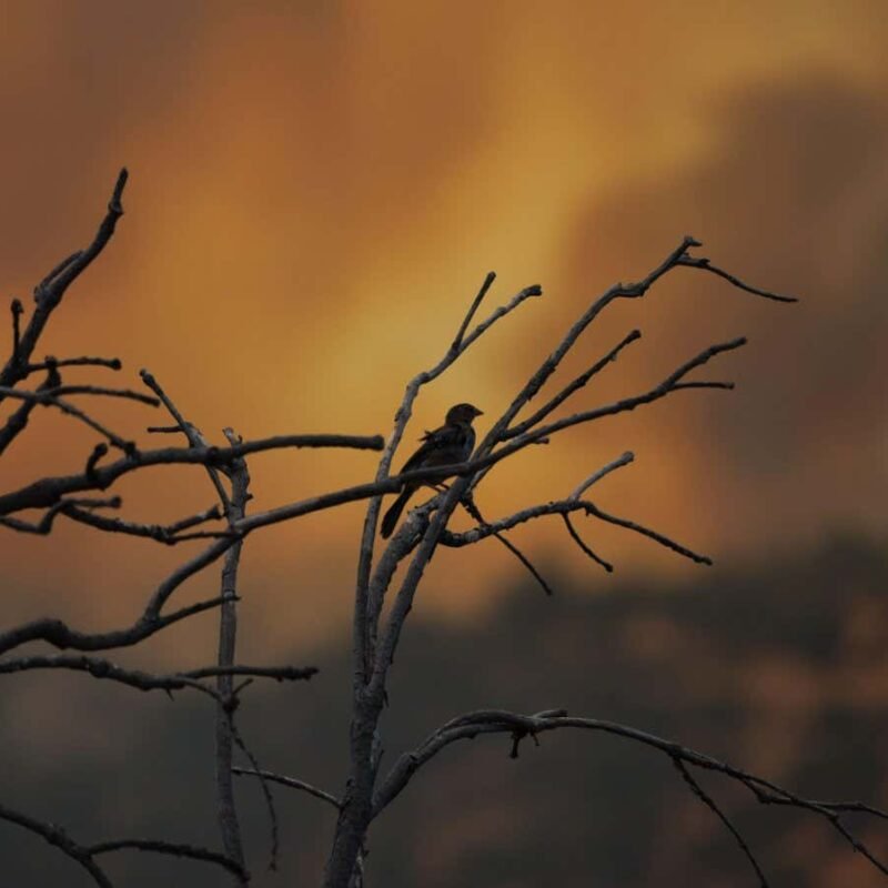 The world just experienced the hottest February on record
