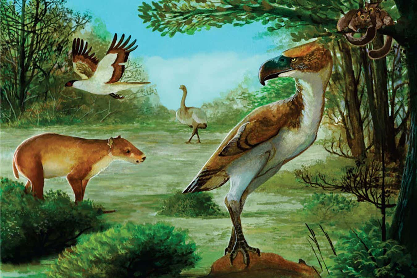 Phorusrhacids: Flightless terror birds stalked Antarctica after the dinosaurs’ demise