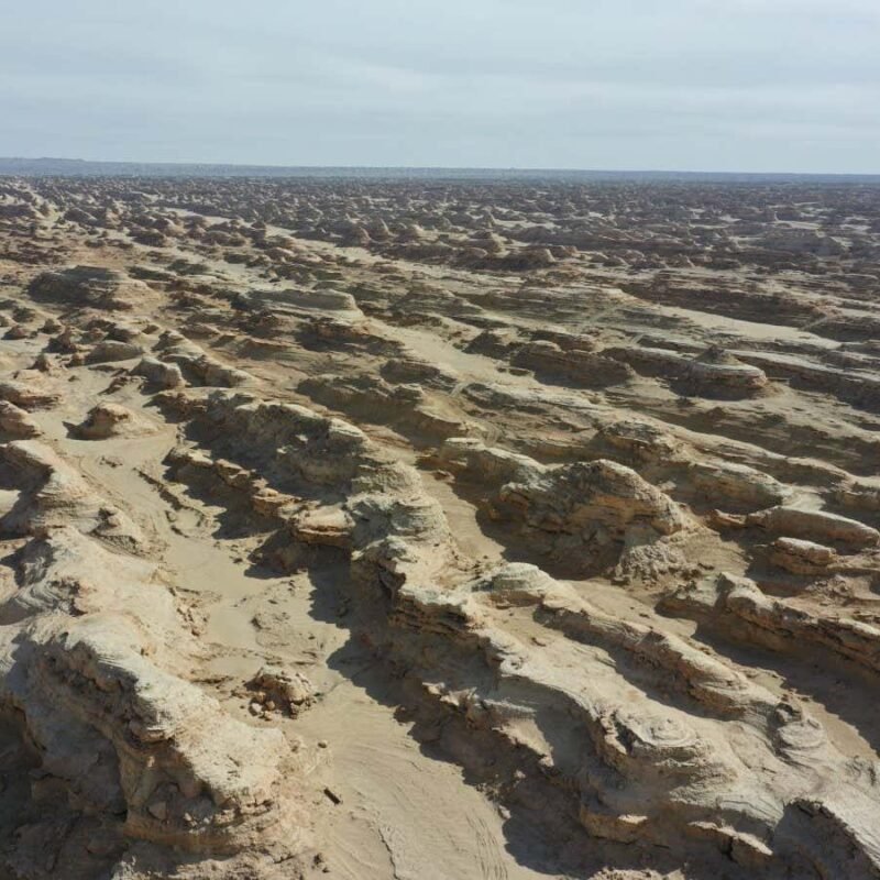 Perfectly straight ridges may cover the poles of Saturn’s moon Titan