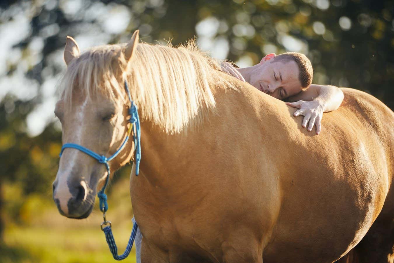 Horses used in therapy often avoid people if they are given a choice