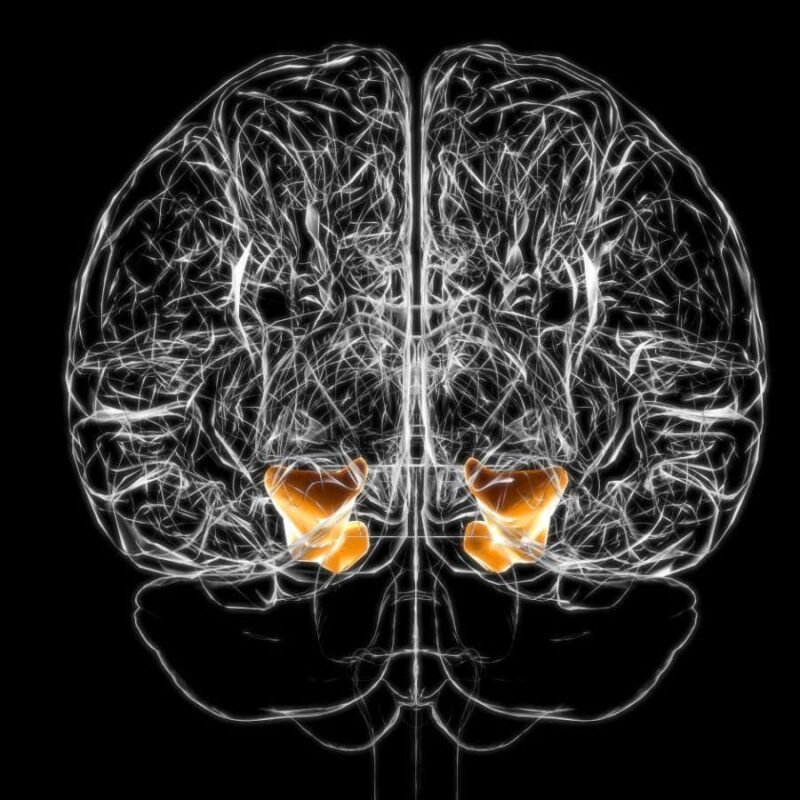 Tooth loss linked to early signs of Alzheimer’s disease