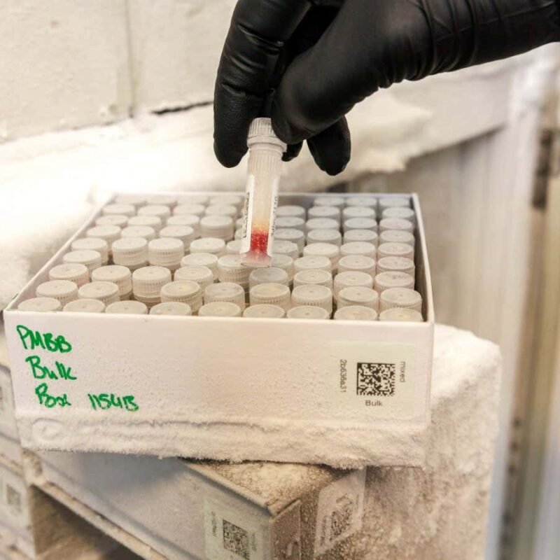 DNA sequencing may give hope to critically ill adults in hospital