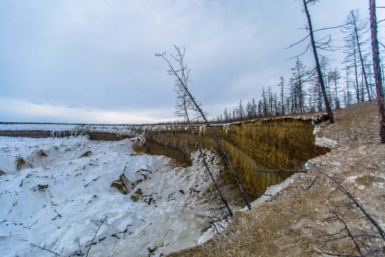 Arctic permafrost is now a net source of major greenhouse gases