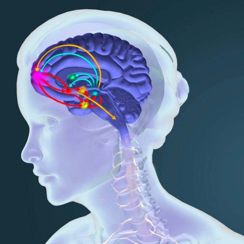 Cocaine seems to hijack brain pathways that prioritise food and water