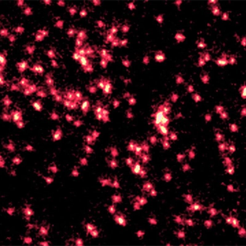 Single atoms captured morphing into quantum waves in startling image