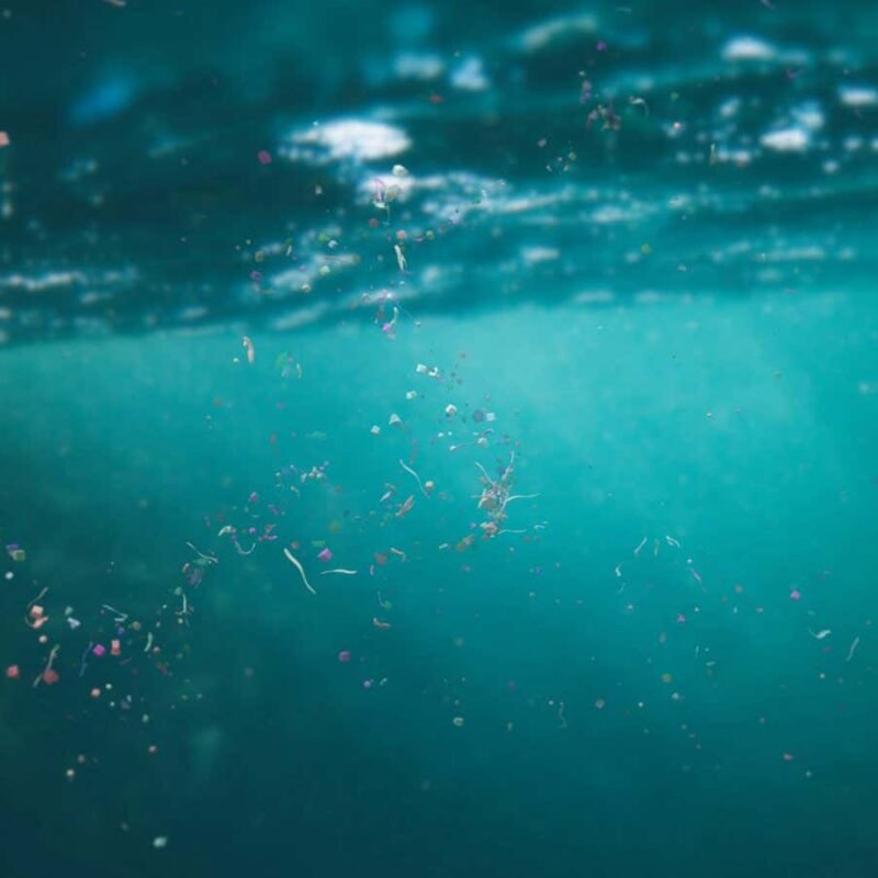 Swarm of nanorobots can remove tiny plastic fragments from water Swarm of nanorobots can remove tiny plastic fragments from water