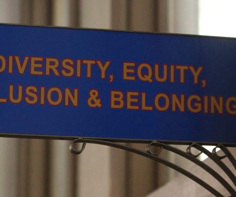 Why the term ‘DEI’ is being weaponized as a racist dog whistle