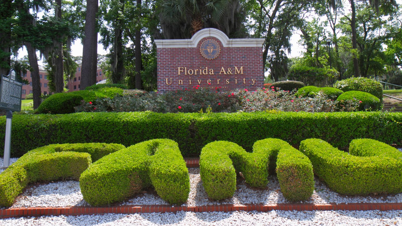 FAMU backs away from $237 million donation after donor scrutiny : NPR