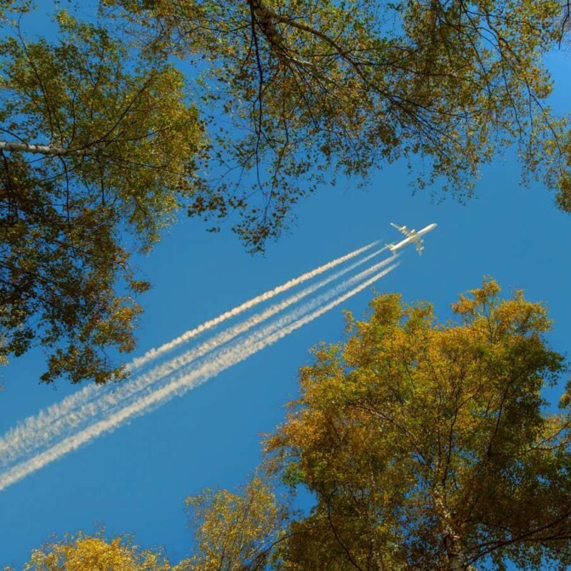 Why carbon offsetting your flight isn’t the answer