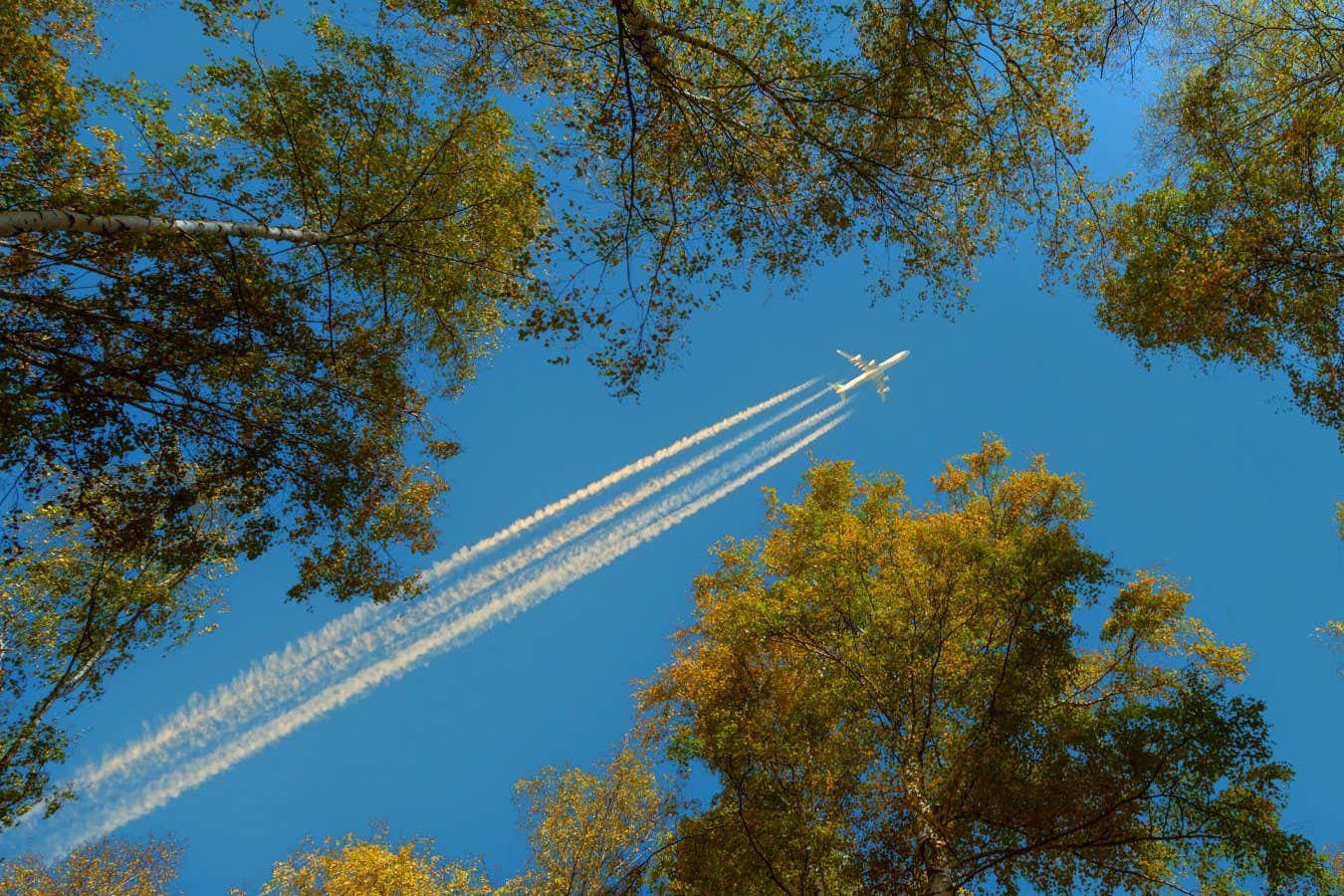 Why carbon offsetting your flight isn’t the answer