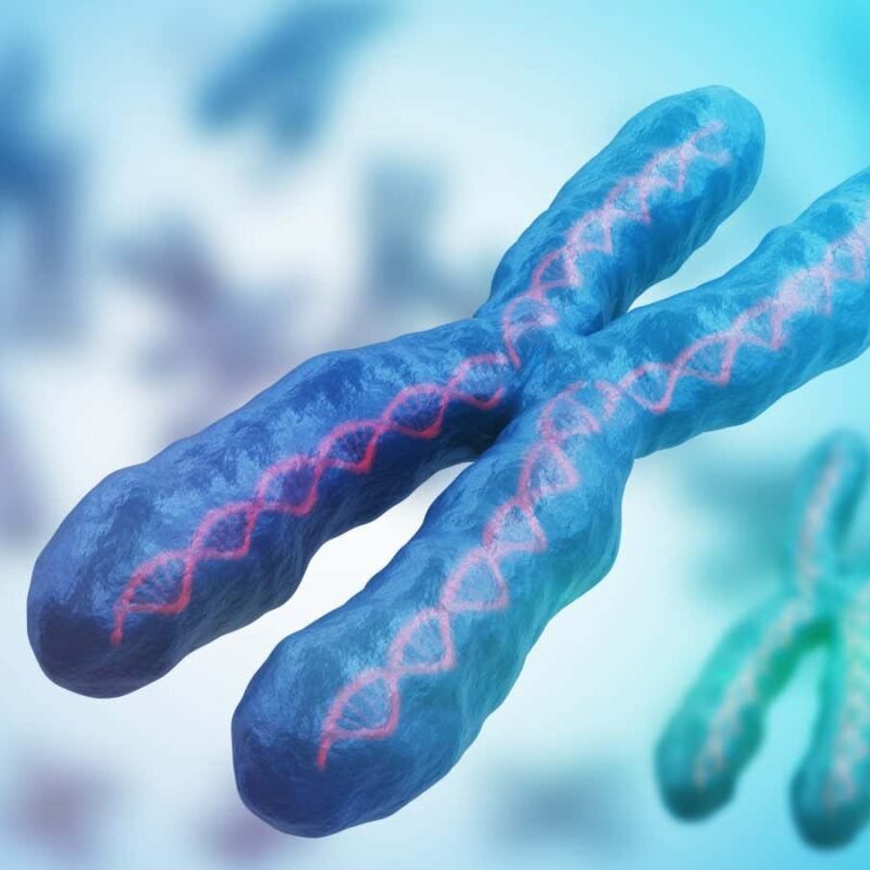 Autoimmune conditions linked to reactivated X chromosome genes