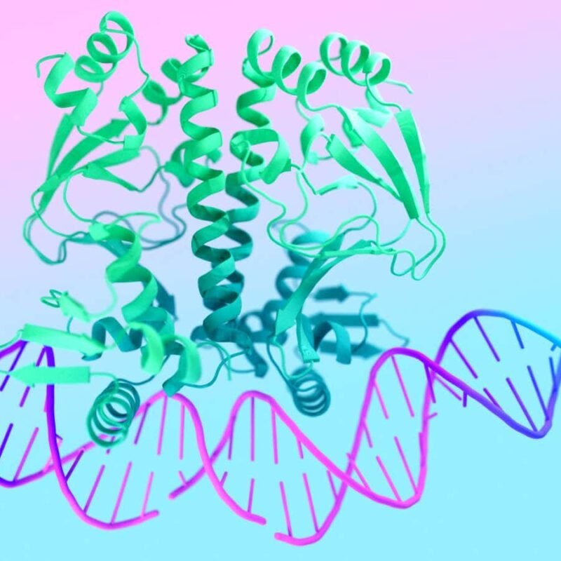 DeepMind AI can predict how drugs interact with proteins