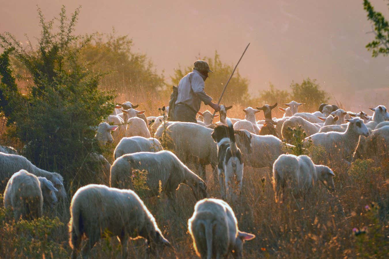 Nomads thrived in Greece after the collapse of the Roman Empire