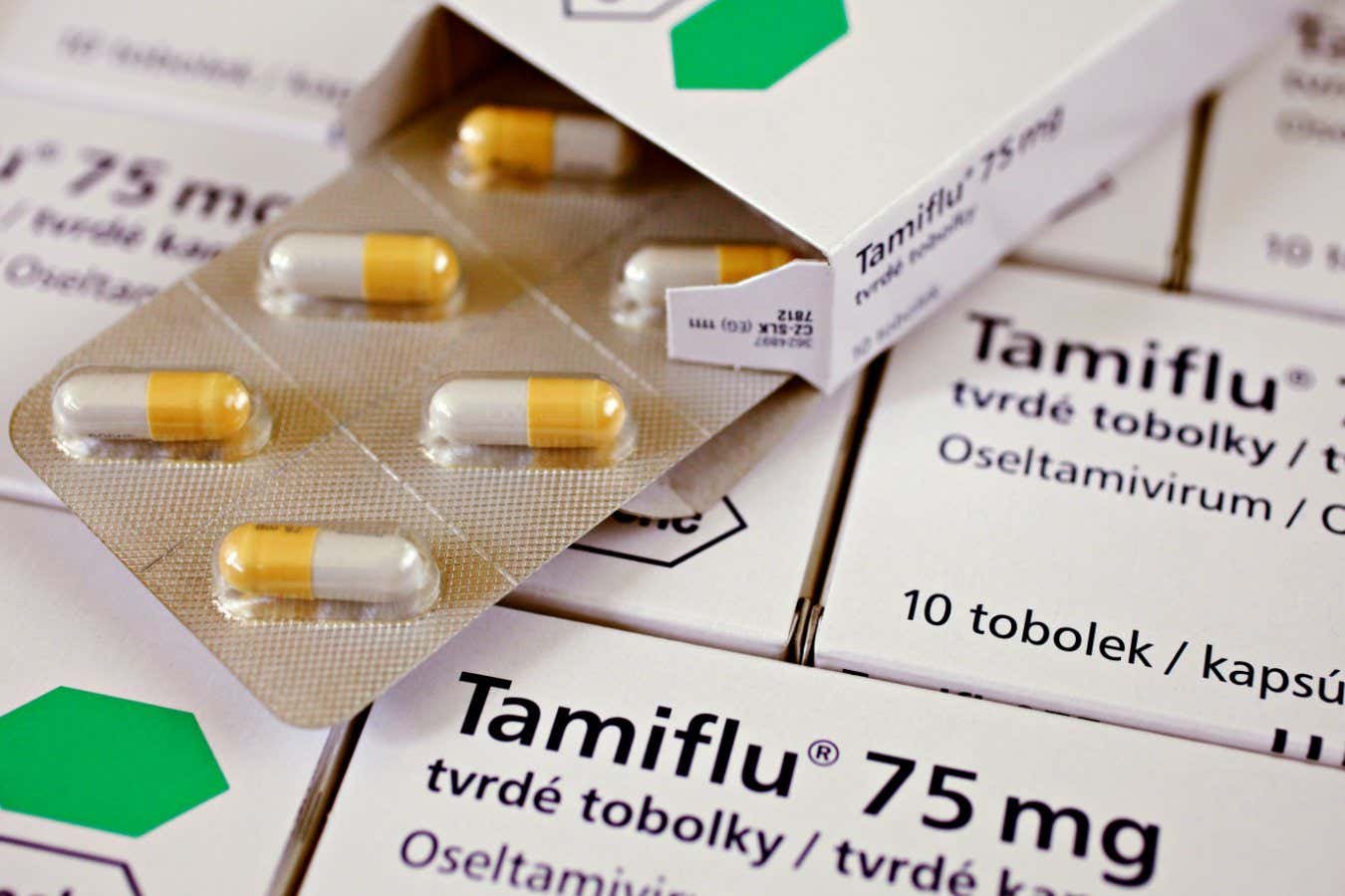 Tamiflu seems to relieve noise-induced hearing loss in mice