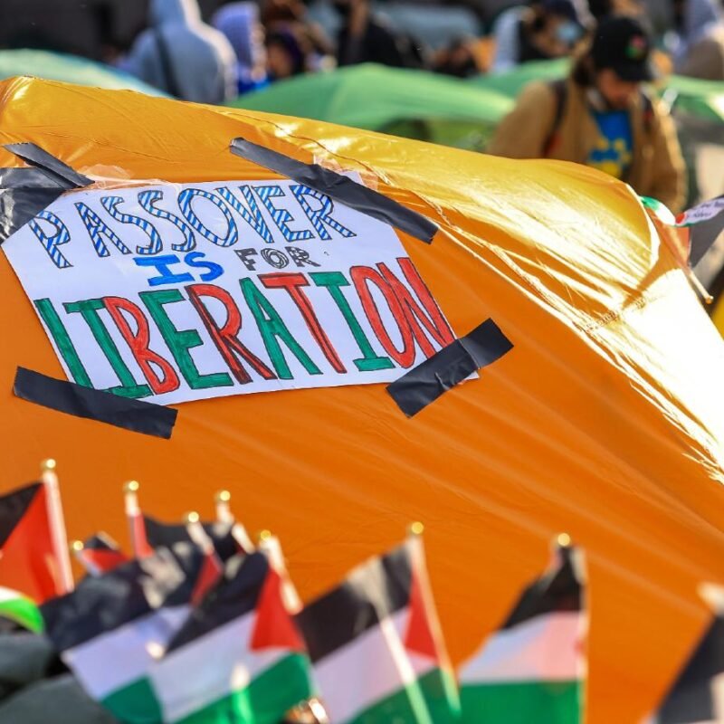 The Student Protesters Are Demonstrating Their Bravery, Not Antisemitism