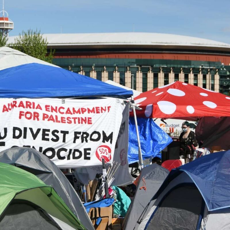 On Student Protests and Elected Officials