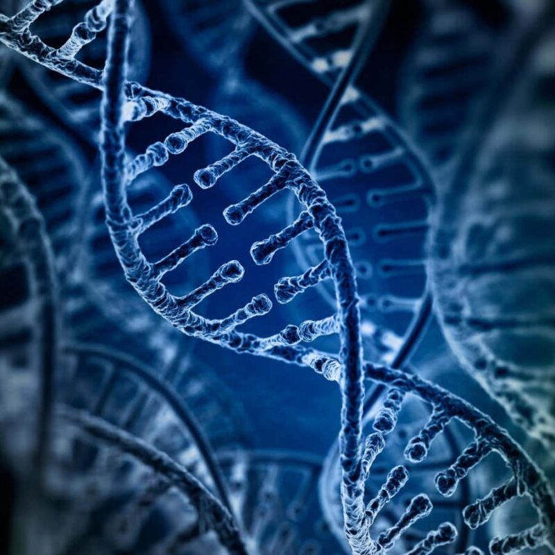 A surprisingly quick enzyme could shift our understanding of evolution