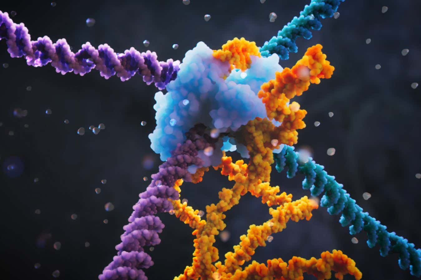 ‘Bridge editing’ could be even better at altering DNA than CRISPR