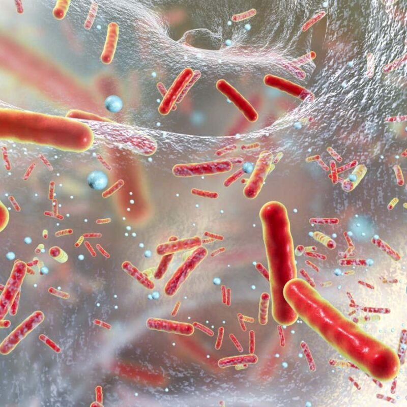 Why antibiotic resistance could make the last pandemic look minor