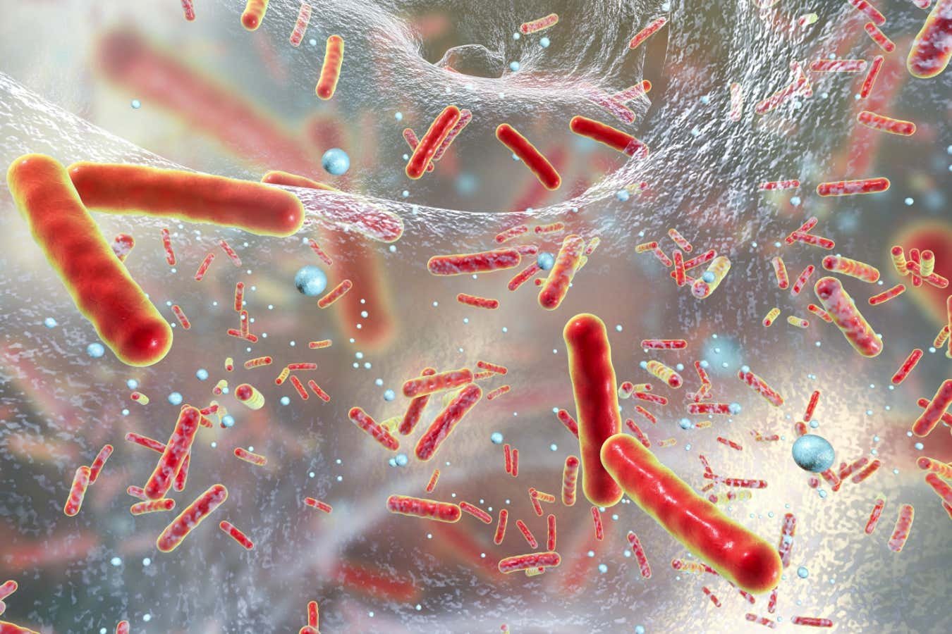 Why antibiotic resistance could make the last pandemic look minor