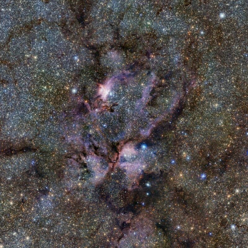 Why this is a golden age for life to thrive across the universe