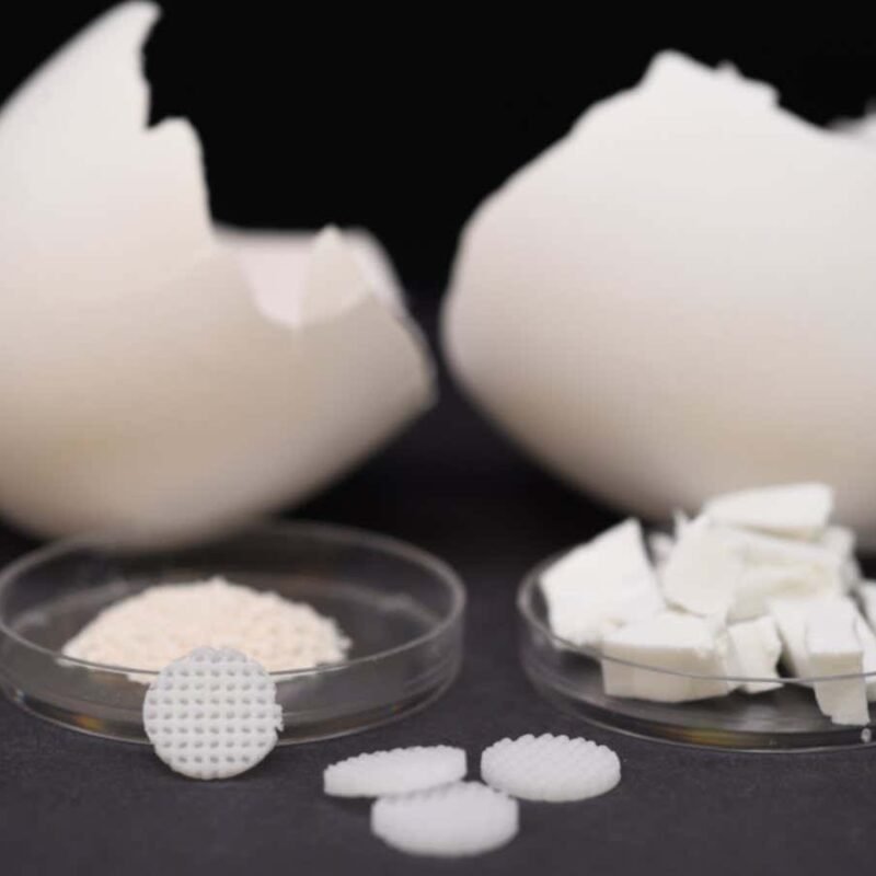 3D-printed egg shells can help bones regrow