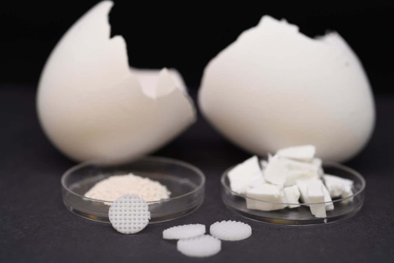 3D-printed egg shells can help bones regrow