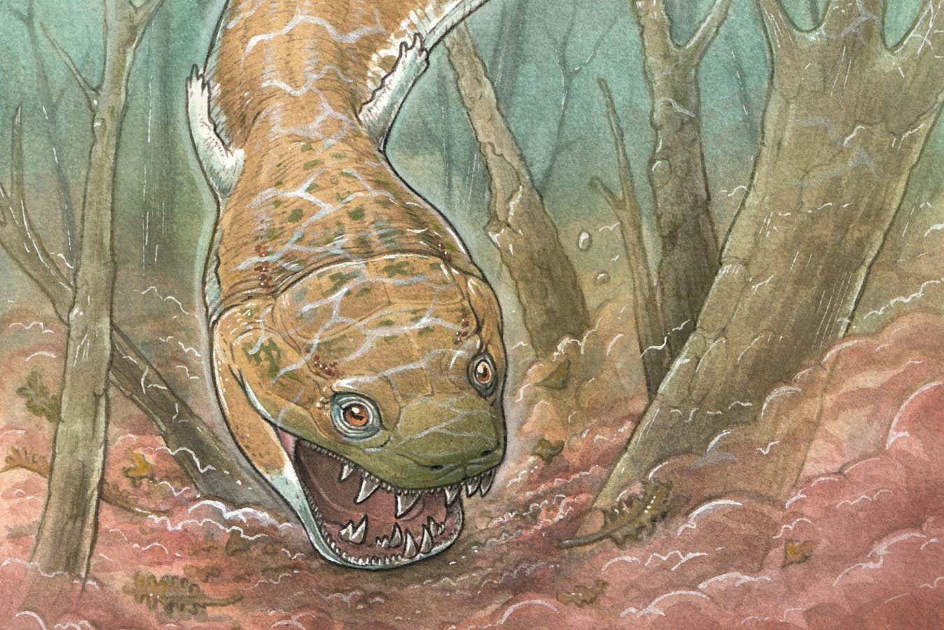 Gaiasia jennyae: Giant salamander-like predator roamed Namibia 280 million years ago