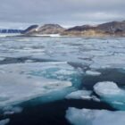 Melting sea ice is hindering, not helping, Canadian Arctic shipping