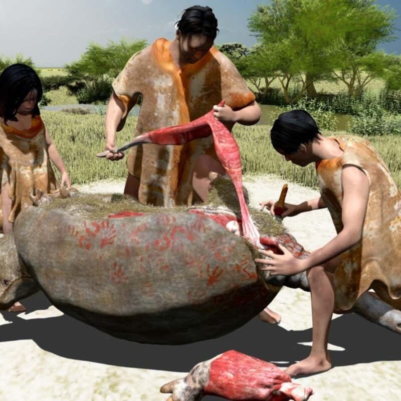 Butchered bones hint humans were in South America 21,000 years ago