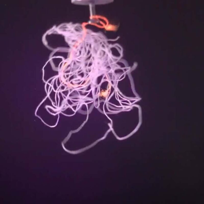 How to unsnarl a tangle of threads, according to physics