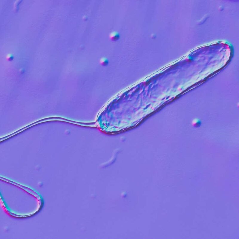 Retinol's anti-ageing effects may work by changing your skin microbes