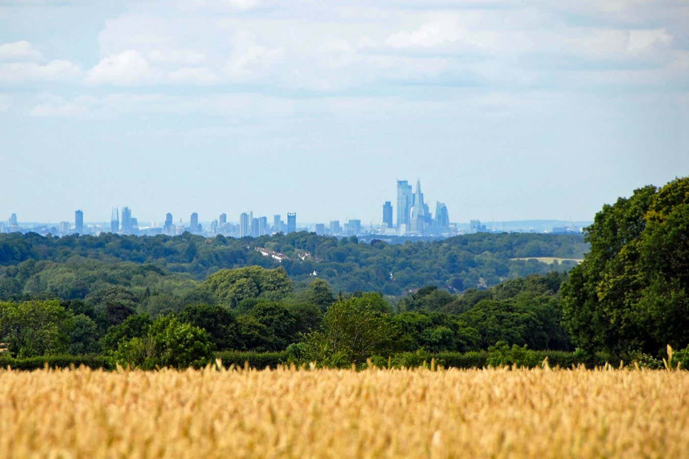 Green belts around cities help keep them cool