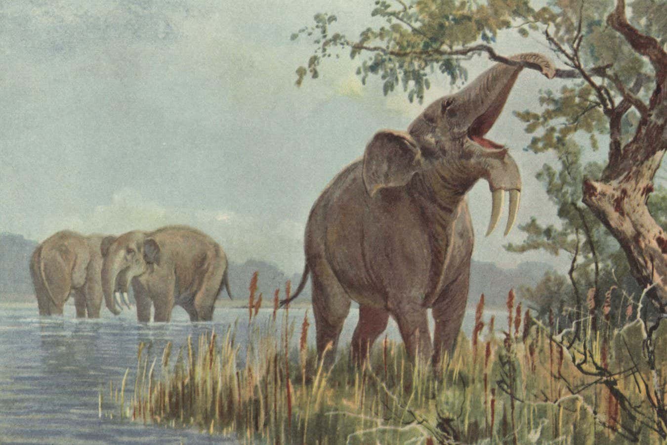 Early humans began wiping out elephant relatives 1.8 million years ago