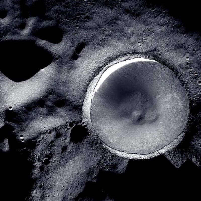 Should we put a frozen backup of Earth’s life on the moon?