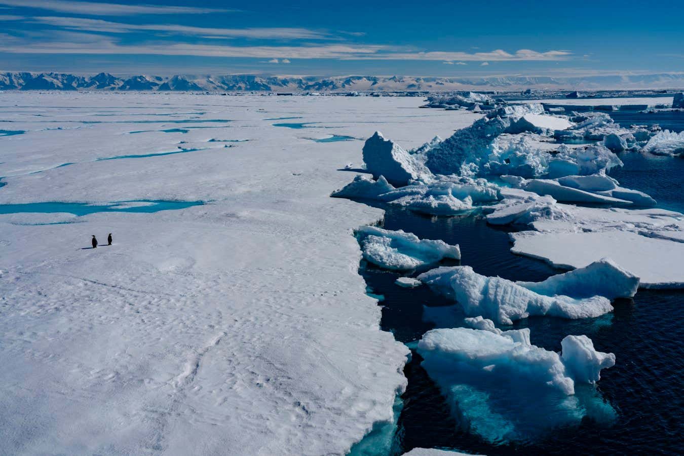 Melting Antarctic ice could actually slow sea level rise