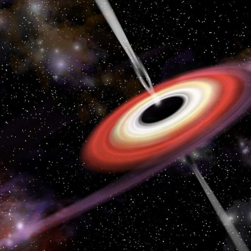 Black holes may inherit their magnetic fields from neutron stars