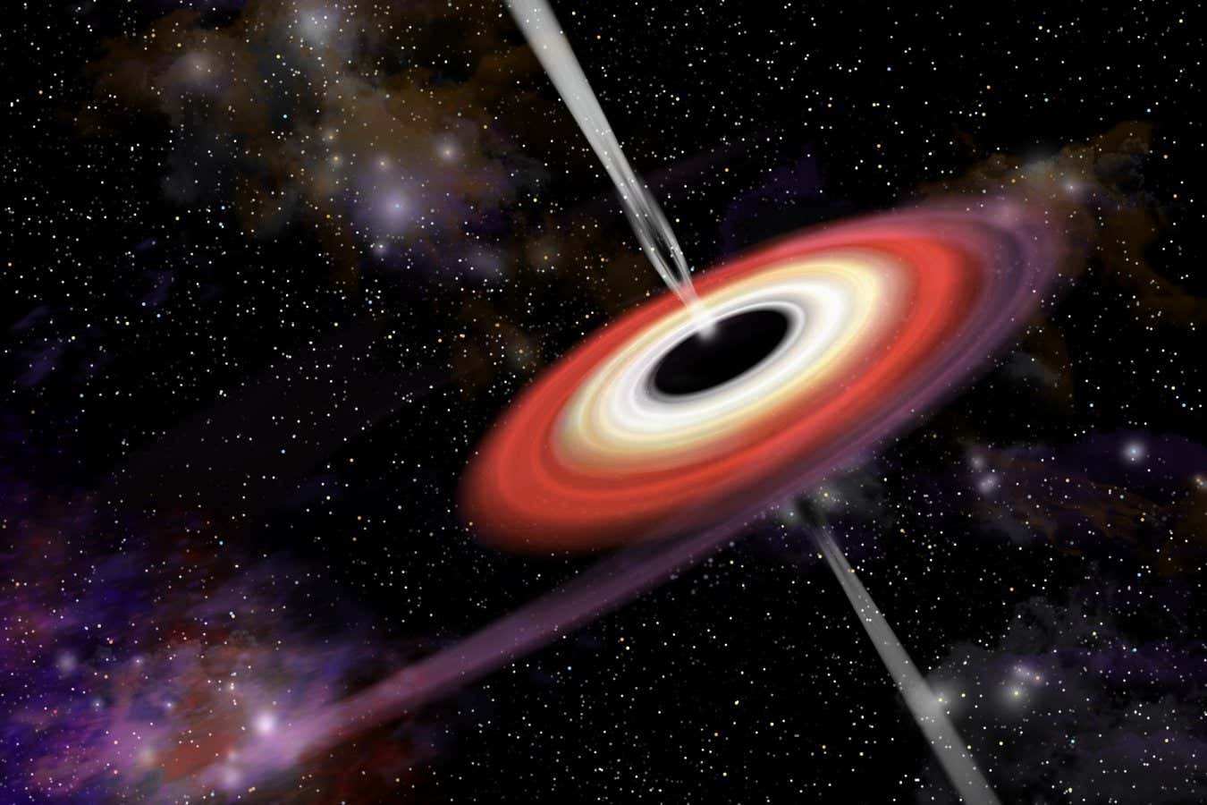 Black holes may inherit their magnetic fields from neutron stars