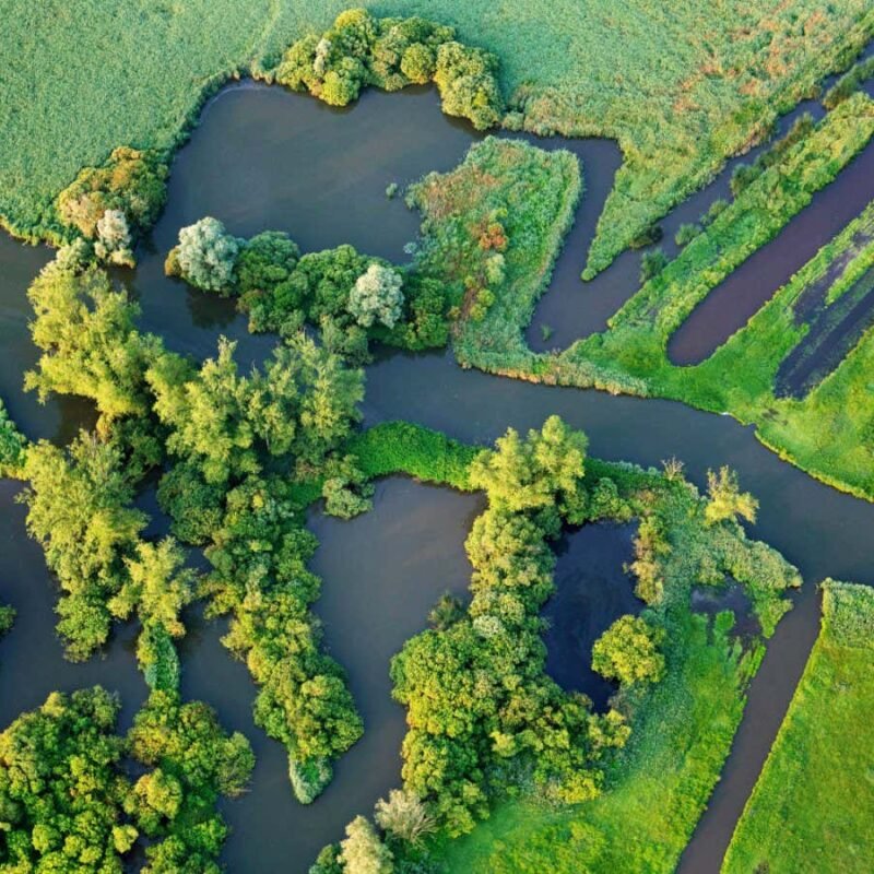 Rising methane emissions from wetlands may undermine climate targets