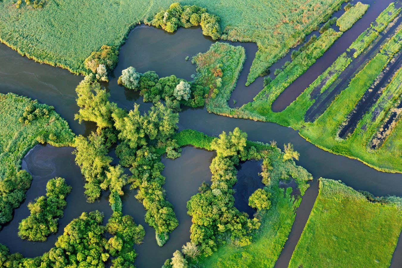 Rising methane emissions from wetlands may undermine climate targets