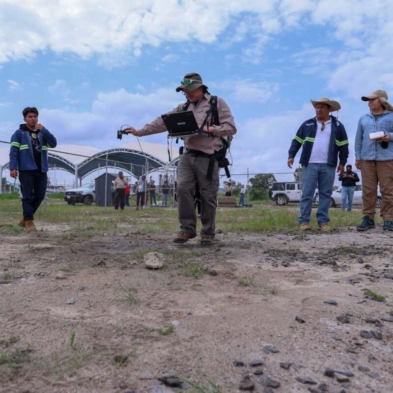 Uncovering recent hidden grave sites in Mexico with satellite data