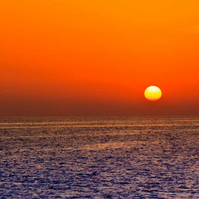 The crisis in our oceans shows how quickly climate chaos can strike