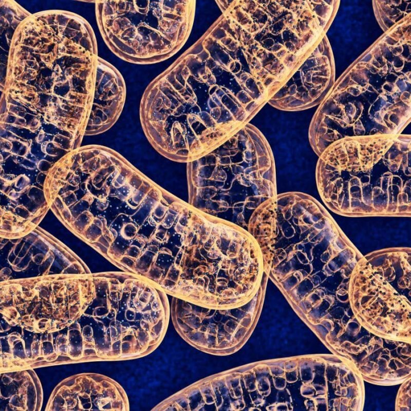 Your brain may be mutating in a way that was thought to be very rare Your brain may be mutating in a way that was thought to be very rare