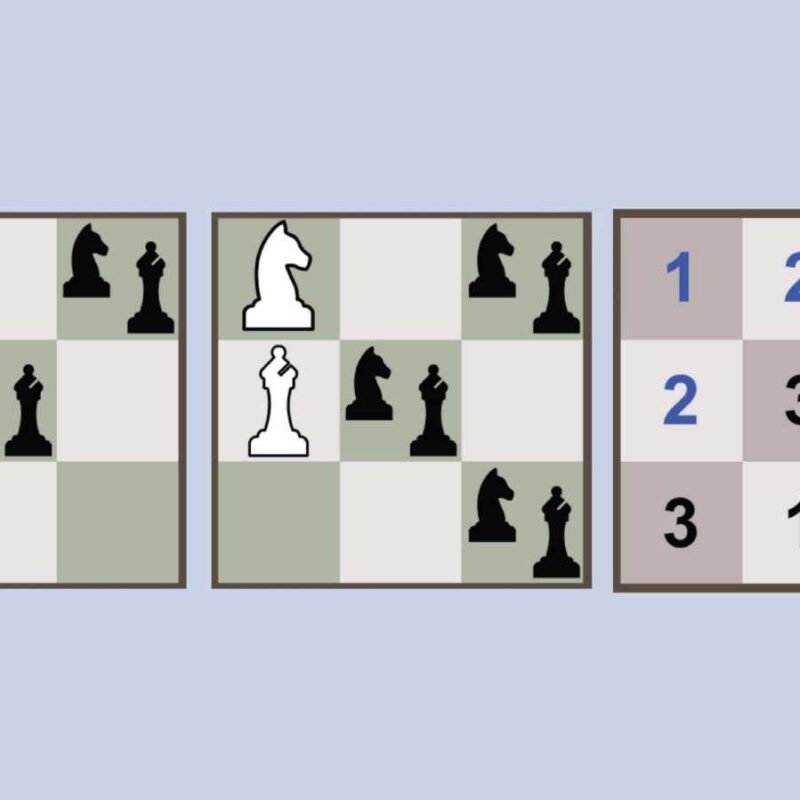 DNA computer can play chess and solve sudoku puzzles