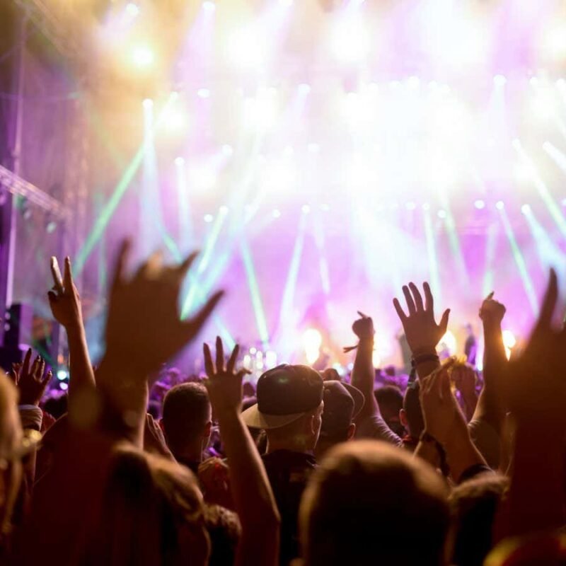 This is how your brain knows when the beat is about to drop