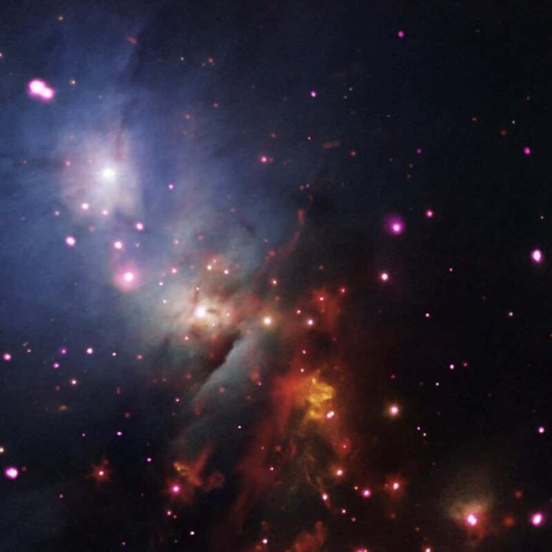 JWST found rogue worlds that blur the line between stars and planets