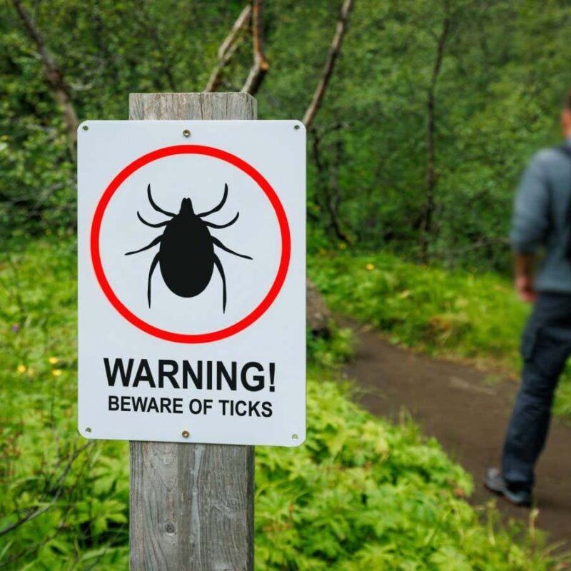 Lyme disease test gives hope for a speedier diagnosis